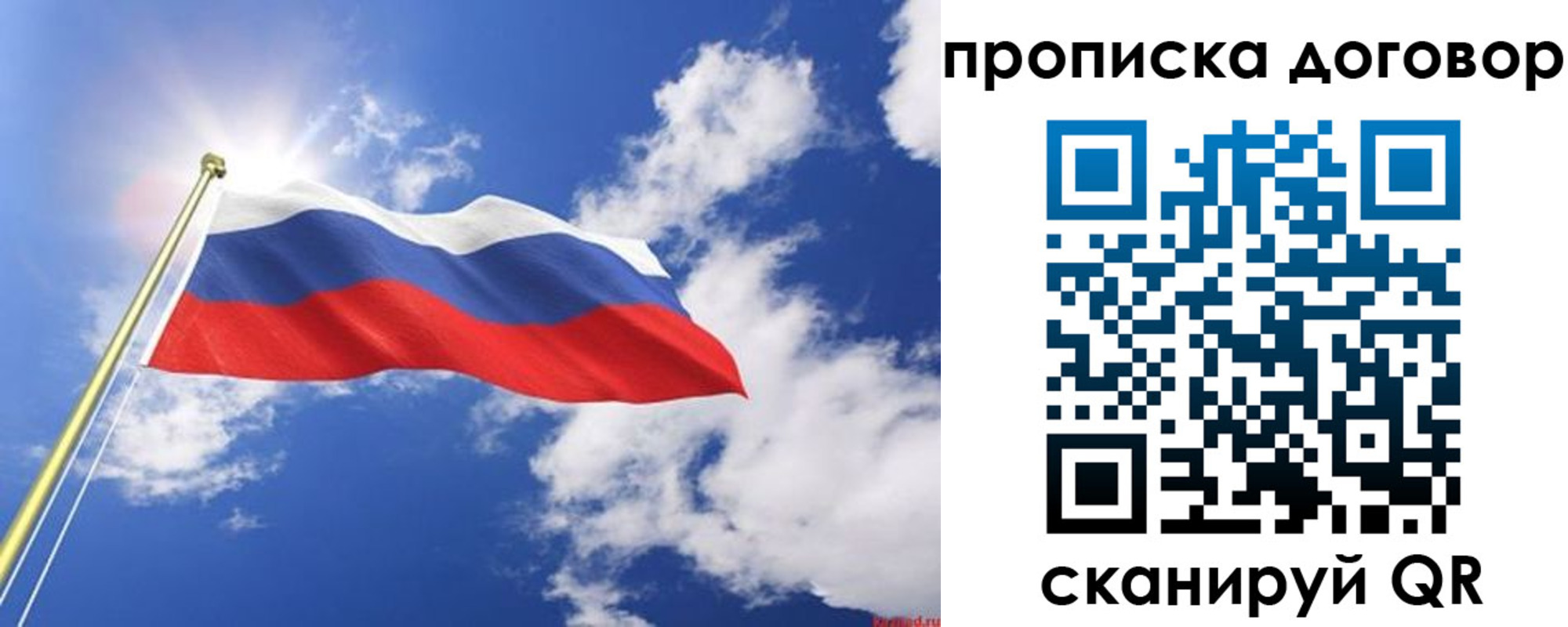 прописка гарантия в Светогорске